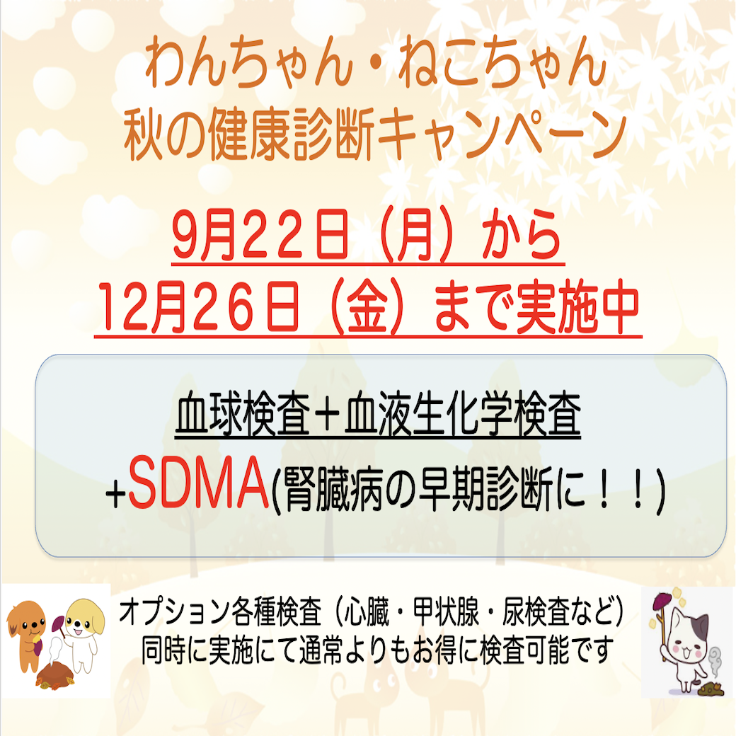 秋の健康診断キャンペーン